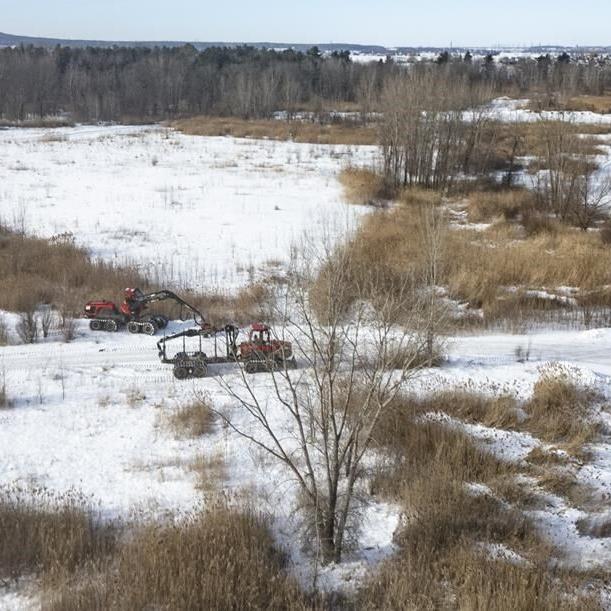 'Sabotage': Nails placed in tree trunks at future Quebec EV battery plant site